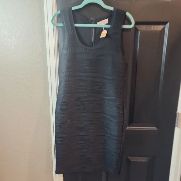 Elegant Black Sleeveless Dress - Picture 1 of 3